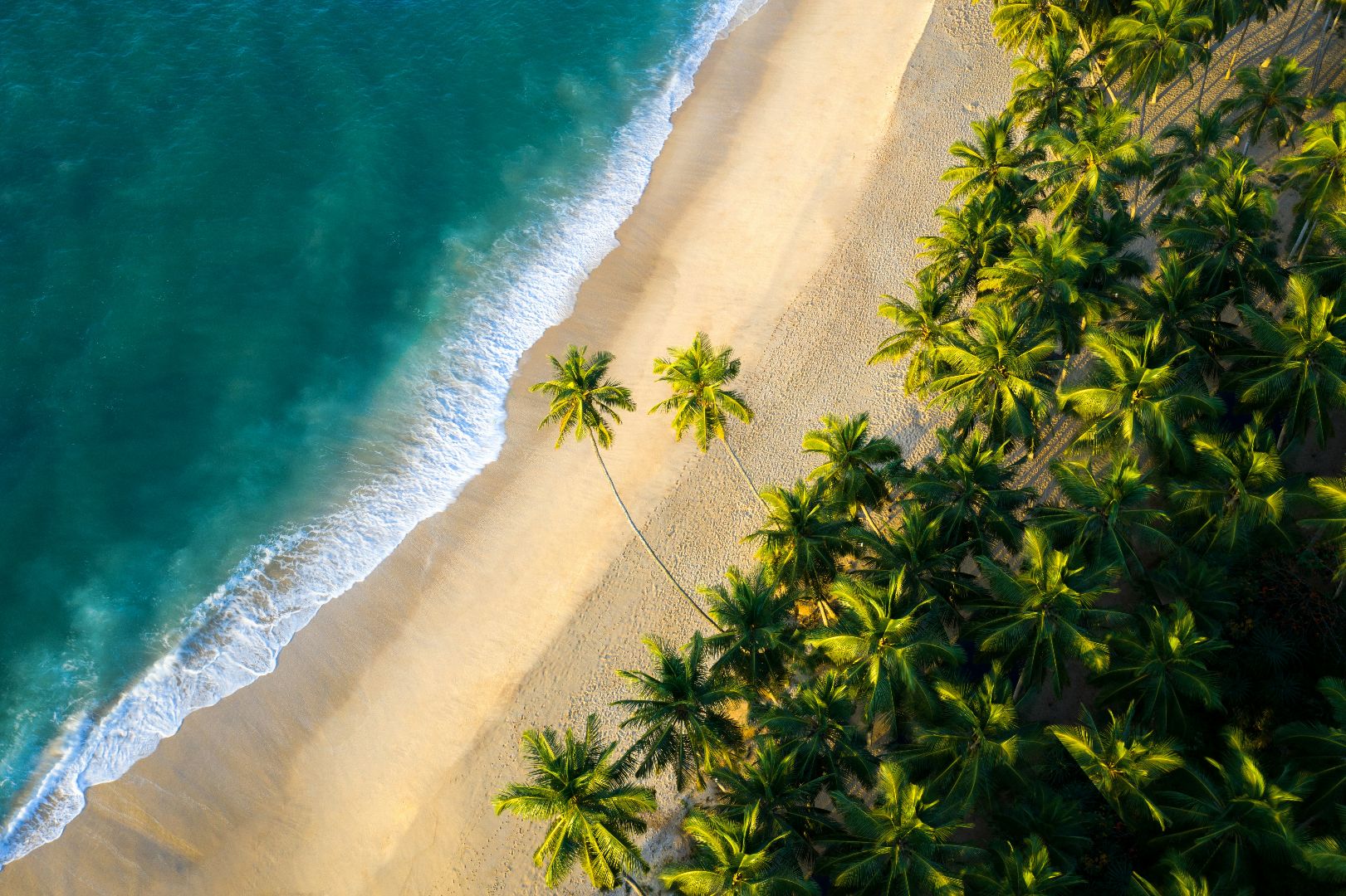 The Culture & Wildlife Of Sri Lanka You Travel Newmarket 1