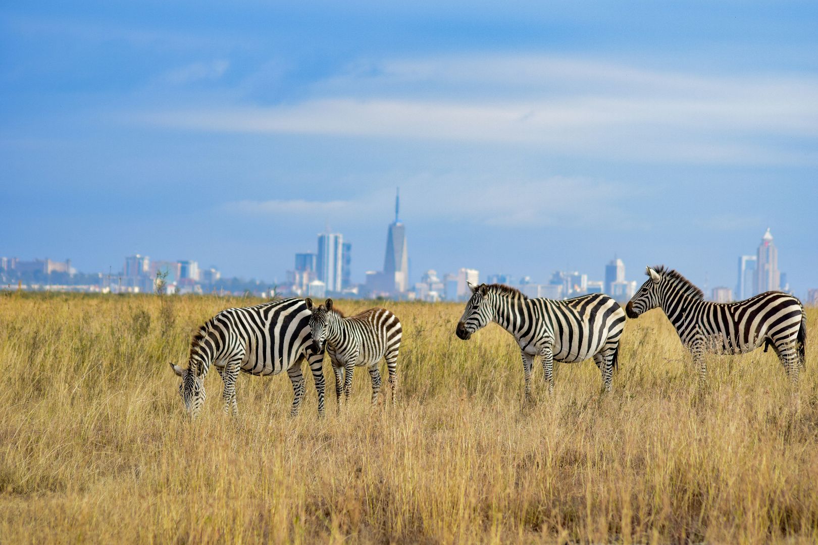 Authentic East Africa You Travel Newmarket Travel Agency 3