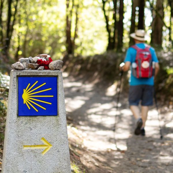 Best  Of The  Spanish   Camino  Guided Walk You  Travel  &  Cruise   Newmarket 00007
