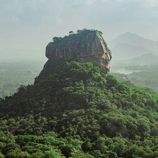 The   Culture  &  Wildlife  Of  Sri   Lanka  You  Travel   Newmarket 8